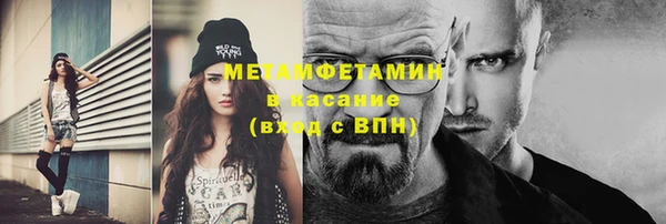 прущие грибы Лабытнанги