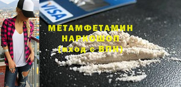прущие грибы Лабытнанги