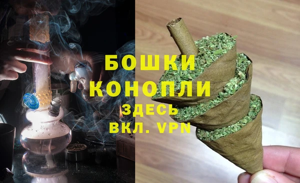 прущие грибы Лабытнанги