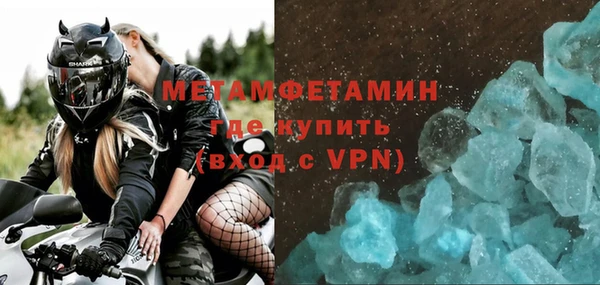 прущие грибы Лабытнанги
