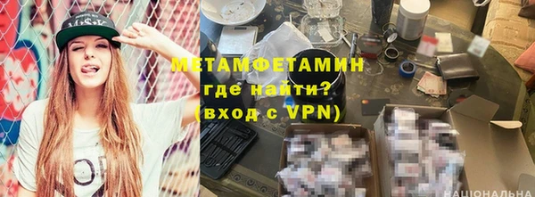 прущие грибы Лабытнанги
