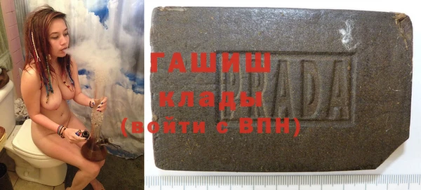 прущие грибы Лабытнанги