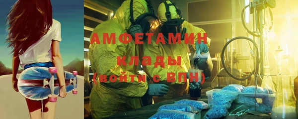 прущие грибы Лабытнанги