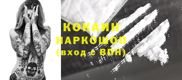 дмт Краснослободск
